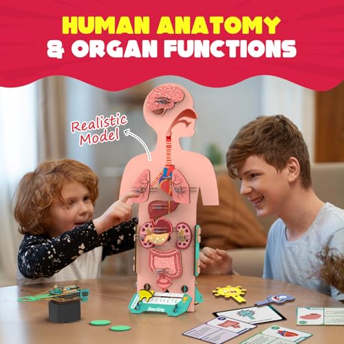 Smartivity Human Body Toy for Kids 6-12 Years|Body Organs & Functions|Birthday Gifts for Unisex|DIY Science Toys 6,7,8,9,10,11,12,13,14 Years Old I STEM Building Set Wooden Construction Game,79 Pcs