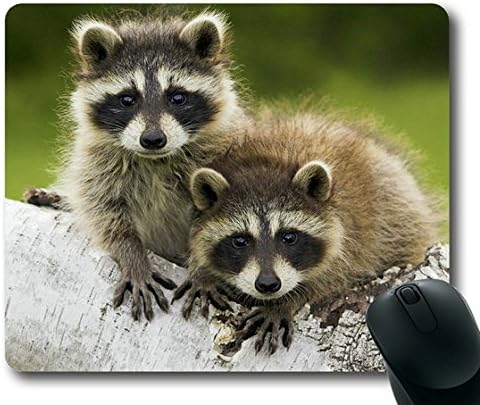 Baby Raccoon 001 Rectangle Mouse Pad,Gaming Mouse Pad by Lilyshouse