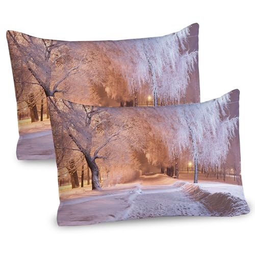 Ambesonne Winter Pillow Sham Set of 2, Winter Night Scenery with Frozen Trees and Snowy Road Landscape Photography Print, Quality Microfiber Bedding Item for All Seasons, 30