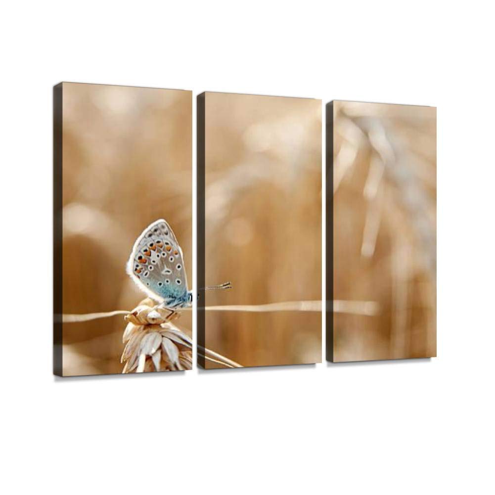 blaverr 3 Panel Wall Art Modern Artworks for Home Decor Canvas Prints Schmetterling sitzt auf Weizenkorn Pictures for Living Room Bedroom Decoration, Ready to Hang
