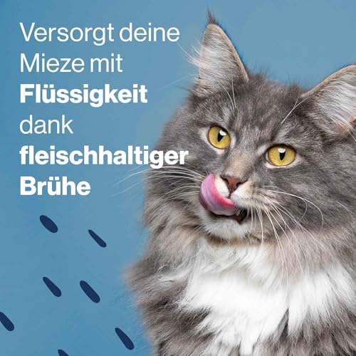 Pets Deli Getreidefreies Nassfutter Multipack Saucen Menü Huhn, Rind, Ente für Katzen 6 x 70g