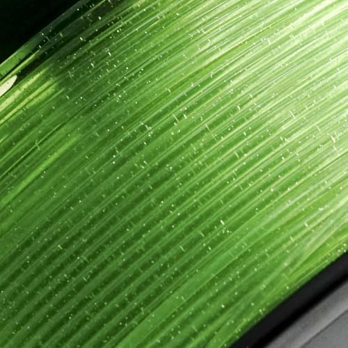 Image of Clear Green PLA 1.75mm 1kg Spool Glittery 3D Printing Filament Transparent | FDM Beginner friendly Premium Sparkle translucent Green PLA Basic Low warping No tangle 1kg spool 2.2lbs for Bambu Prusa