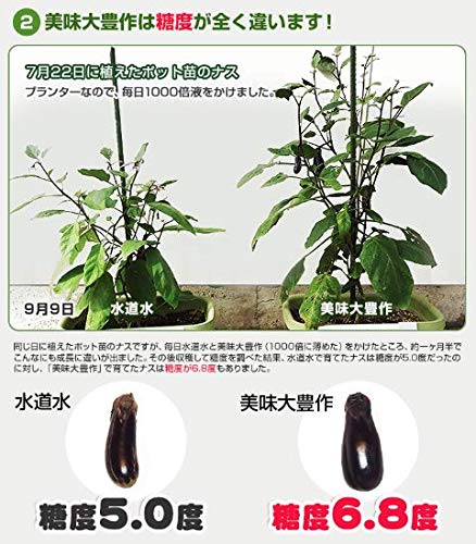 Amazon | 肥料 スーパー植物活力液 美味大豊作GT-S 10リットル 収穫量 