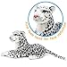 TigerHart Sinovia The Snow Leopard - 17 Inch Stuffed Animal Plush Snow Cat