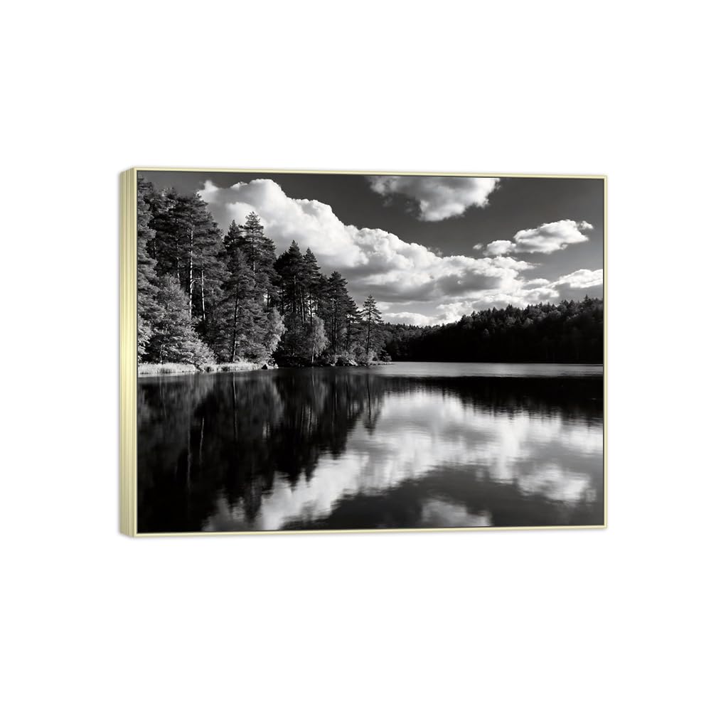OZPWBVY Tree Lake Black White Landscape Canvas Picture 50x65cm Silver Frame