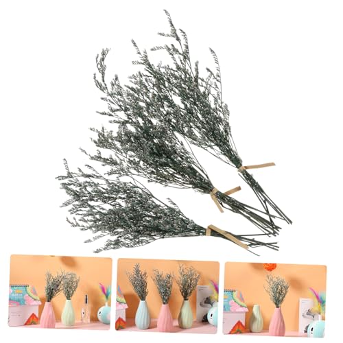Ramo Seco Levemolo para Decoración DIY miniatura 3