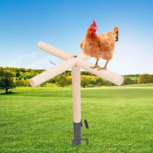 Jouet de divertissement pour perroquets et perchoir de poulet stable