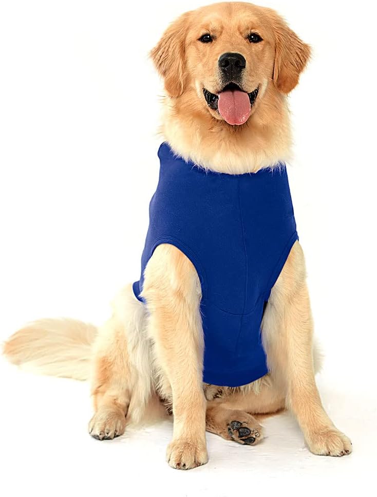 Dog Ghost Dog Shirt with Hoodie - Welsh Corgi Dog Hoodie - Dog Print Dog Clothing - Black White, M