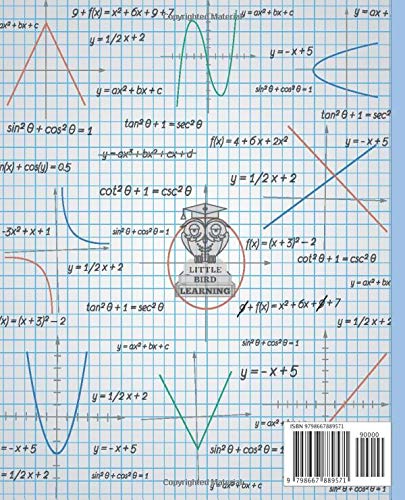 Graph paper 5x5 notebook: Go back to school in style with this humorous school maths journal image 2