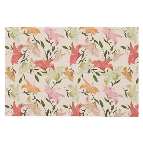 SAMAU  փ}bg  ԕ G ӂӂ hA}bg DƂ ~ O Ɩp ItBXp ƒp 唻 60*90CM