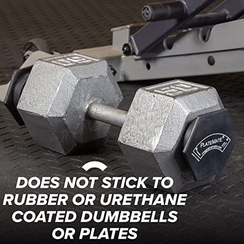 Image of PlateMate Microload Pair Magnetic Weights - Choose Between 1.25 lbs or 2.5 lbs Hex