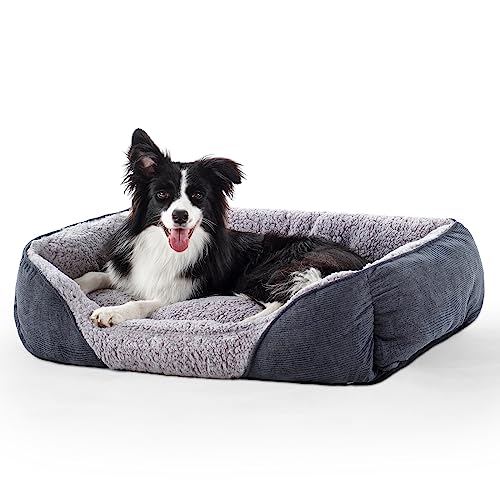 Dog Beds On The 15 best products compared Wild Explained