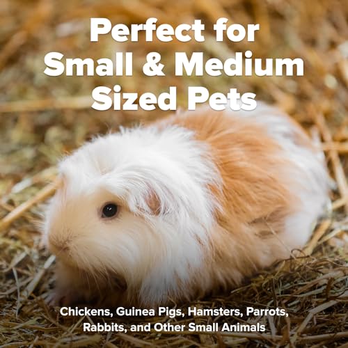 All Walks 18.5L Hemp Bedding For Chicken Coops, Hamsters, Rabbits thumb #3