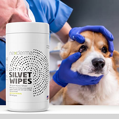 Therapeutic Pet Wipes for Dogs & Cats, Hypoallergenic Cleansing Grooming|Moist Soft Multipurpose Wipe for Yeasty Skin Folds, Interdigital Paws, Safe Around Eyes/Tear Stains, Face, Ears – 84ct Therapeutic Pet Wipes for Dogs & Cats, Hypoallergenic Cleansing Grooming|Moist Soft Multipurpose Wipe for Yeasty Skin Folds, Interdigital Paws, Safe Around Eyes/Tear Stains, Face, Ears – 84ct