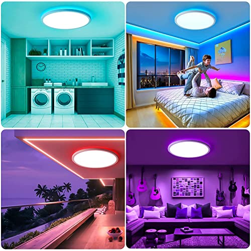 Plafoniera LED Dimmerabile 24W, Lampada da