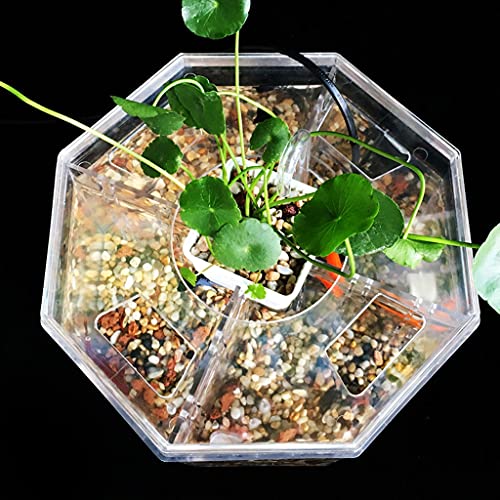 ZHANGJINYISHOP2016 Vis Tank Creatieve Kleine Vis Tank Acryl Transparant Betta Vis Tank Sier Vis Tank Water Plant Tank… - Afbeelding 6