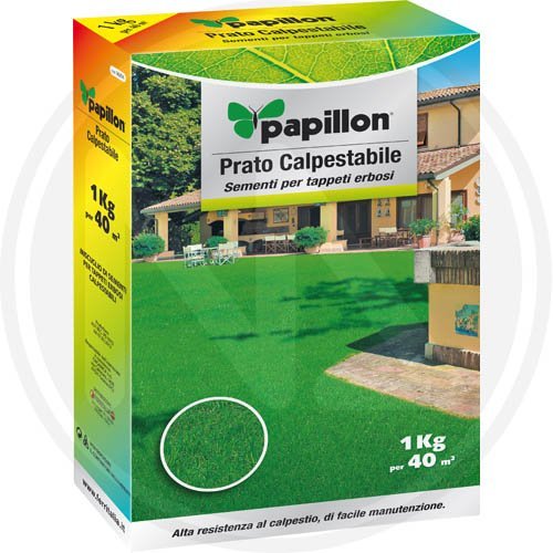 PASEO DEL PRADO EN SEMI Kg. 1