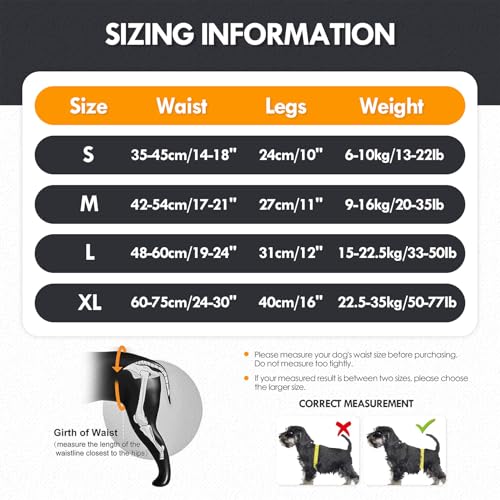 PAWIVID Verstellbares Hundegeschirr für Hinterbein–Stützgeschirr/Schlaufe mit Tragehilfe &Griff für Behinderte, Verletzte & ältere Kleine Mittlere Große Hunde–Mobilitätshilfe & Hebegurt (Grau, M)
