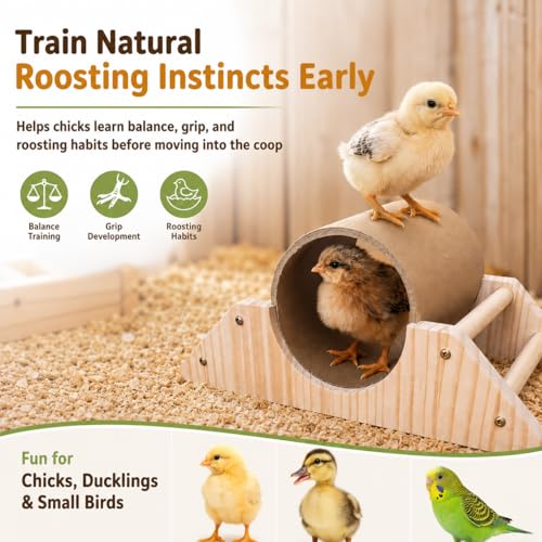 Image of Baby Chick Perch & Tunnel Toy Set for Brooder, Chick Roosting Bar Training Toys, Chicken & Duckling Enrichment Playground, Anti-Boredom Coop Accessories for Baby Chicks Ducks Small Birds