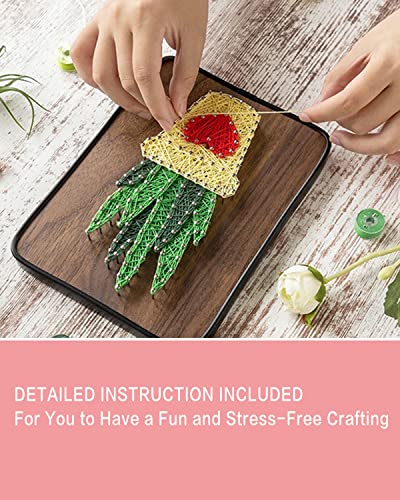 Image of BAZIMA DIY String Art Kit for Beginner, DIY Aloe Craft Kit,Unique Gift,Craft Kit for Holidays