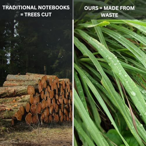 Image of Lemongrass Paper Notebook Set of 2 - A5 Hardbound Journal 160 Ruled Pages + A6 Pocket Notebook 64 Ruled Pages, FSC Certified Recycled Paper, Eco Friendly Diary Set for Work, Study & Gifting