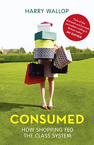 Consumed: How Shopping Fed the Class System view 2