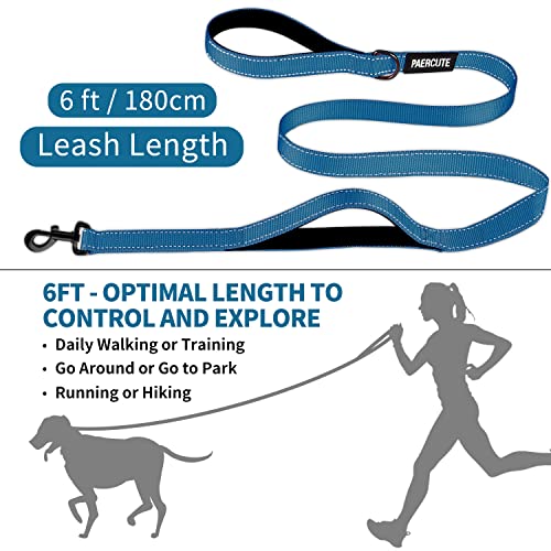 Dog Leash With 2 Padded Comfortable Handles, 5 Ft Heavy Duty Reflective Dog Leashes, Double Handle Dog Leash Perfect For Medium To Large Dogs, Durable Traffic Leashes With Collapsible Pet Bowl #TOP4