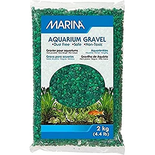 Marina Gravier Vert 12494