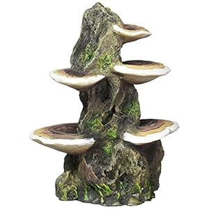 Penn-Plax Deco-Replicas Tree Trunk with Shelf Mushrooms Aquarium Decoration – Safe for Freshwater and Saltwater Fish Tanks – Medium