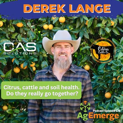 AgEmerge Podcast Episode 179 | Derek Lange's Take on California's Central Valley Agriculture