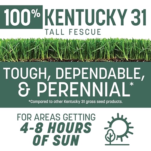 Grass Seed Blends For Cool-Season Climates
