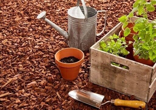 TRANS - PAL Pine Bark Mini Mulch, 20-60mm, 80L-1200L, Ground Pine Bark Peat Mix (80L)