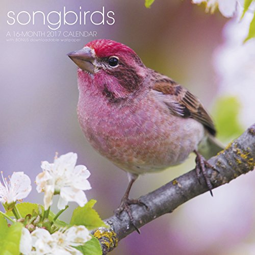 Songbirds 2017 Calendar: Includes Downloadable Wallpaper