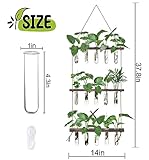 Zoom IMG-1 xxxflower stazione di propagazione da Zoom IMG-1 xxxflower stazione di propagazione da