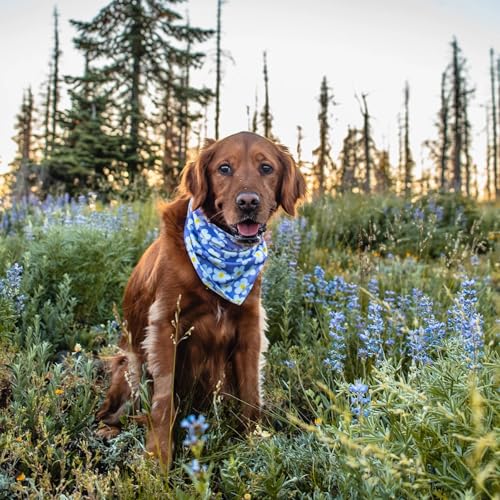Image of Wilderdog Dog Bandana with Lightweight Quick Drying Poly-Blend Mesh Material in Daisy