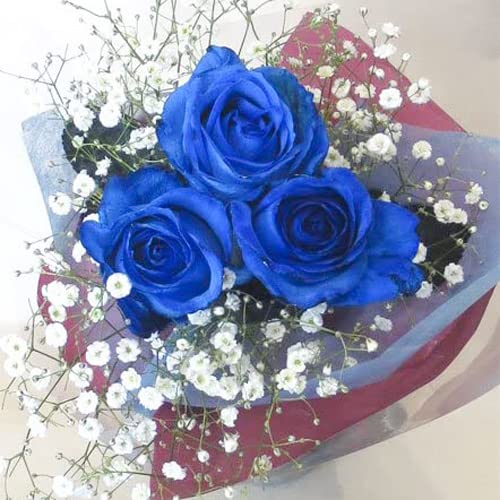 u[[Y 3{ Ƃݑ ԑ Ղ̐o Ԍtu_̏jv a v|[Y jɁyhV̓ɂ߁z