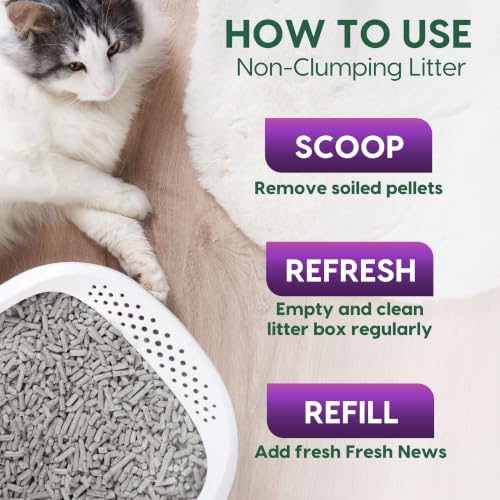 Image of Fresh News MAX Scented Multi-Cat Litter, Non-Clumping, 20 lb