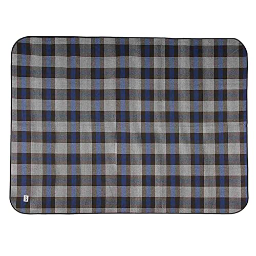 �A�f�B�����_�b�N ADIRONDACK �s�N�j�b�N���O �u���[ 89009080002000