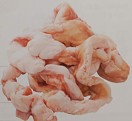 јa@YG@t@@@1kg×12P@^@Ⓚ@Ɩp