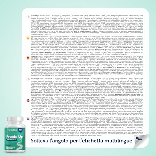 Fermenti Lattici Probiotici - 250 Capsule - PROBIO UP, Concentrato di 20 Ceppi Batterici per Adulti, Probiotico per Intestino, Lactobacilli, Bifidobatteri, Enzimi digestivi, Inulina, FOS, 20 Miliardi - 8