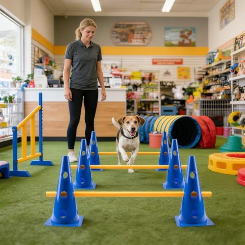 Matériel d'agilité pour chien robuste avec kit de cônes pour compétition