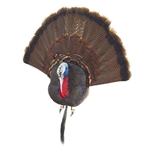 Cherokee Sports Turkey Taxidermy Bust Decoy
