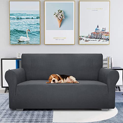 Znsayotx Super Stretch Couch Cover Love Seat Sofa Covers For Living Room Dogs Pet Friendly Furniture Protector Spandex Loveseat Slipcovers With Anti Slip Foam Sticks (Dark Grey, Loveseat) #TOP13