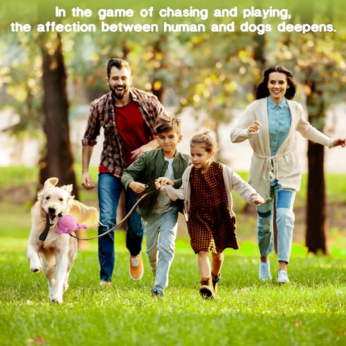 TASDISE Balls da cane in gomma interattiva