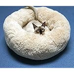 BODISEINT Modern Soft Plush Round Pet Bed for Cats or Small Dogs, Mini Medium Sized Dog Cat Bed Self Warming Autumn Winter Indoor Snooze Sleeping Cozy Kitty Teddy Kennel (24'' D x 8'' H, Champagne) - Image 2