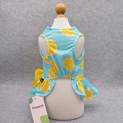 Fitwarm Lemon Summer Dog Dress Puppy Clothes Doggie Sundress Pet Vest Cat Apparel Water Teal Blue Xxs #TOP3
