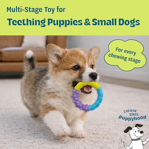 Image of Grow-with-Me Ring Dog Chew Toy, Durable Rubber, 3 Texture Zones, Teething Puppies & Small Dogs, 4.7 inch