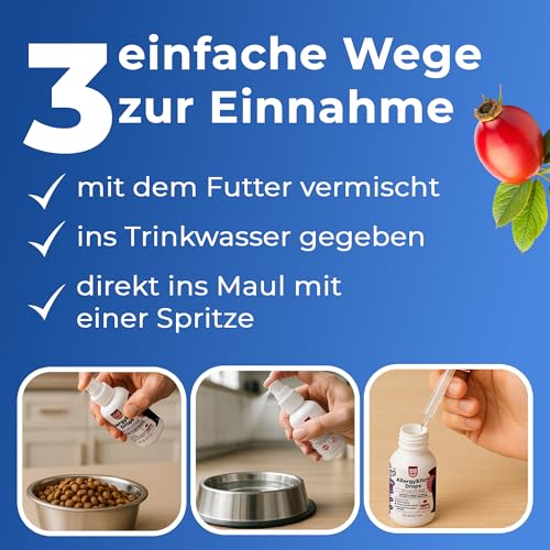 PAW2PAW Allergy and Itch Spray für Hunde und Katzen Flüssiges Ergänzungsfuttermittel zur Unterstützung von Hautkomfort und Juckreiz Einfache Anwendung über Futter oder Wasser 30 ml (200+ Sprühstöße)
