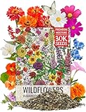 Seed Needs Wildflower Seeds Butterfly an...