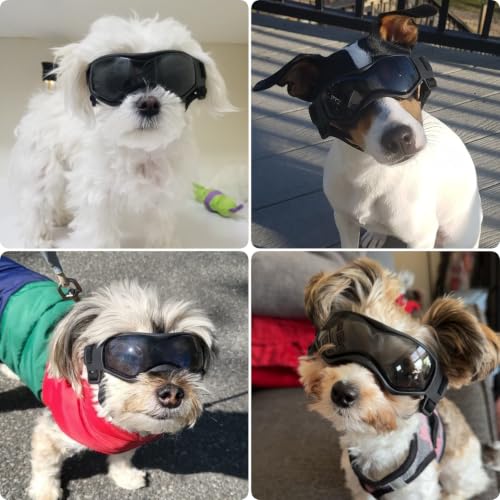Image of Dog Goggles Small Breed, Small Dog Sunglasses with UV Protection, Outdoor Pet Eyewear for Riding Biking Hiking, Adjustable Straps, Black S